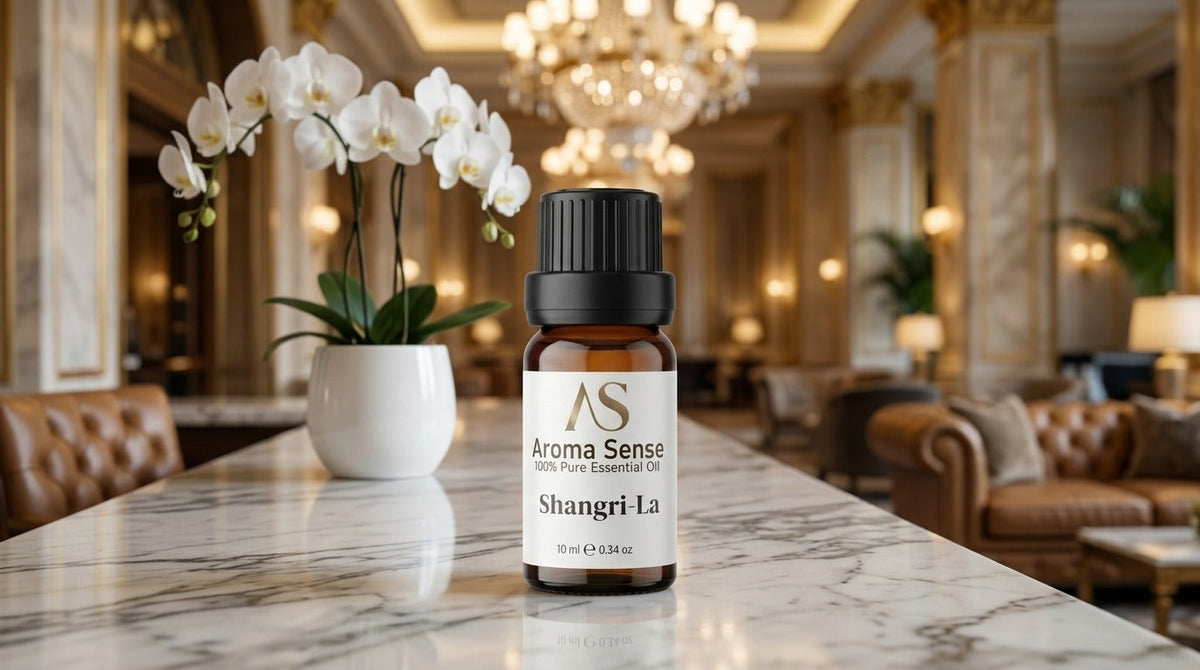 The hotel lobby effect: why five-star scents make spaces feel luxurious