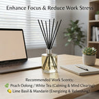 180ml Reed Diffuser Refill by La Duchessa